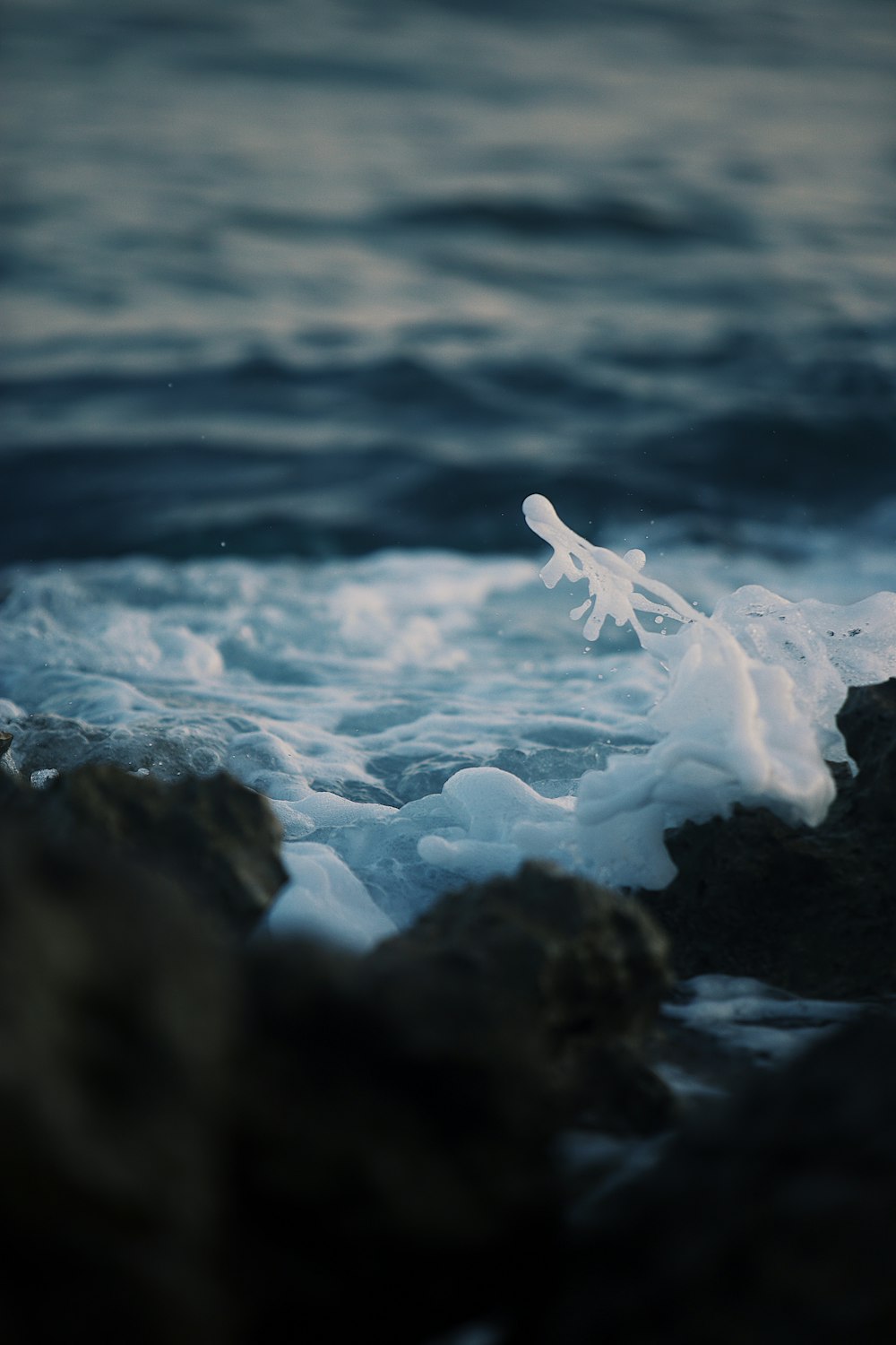 close-up photography of rocky shore