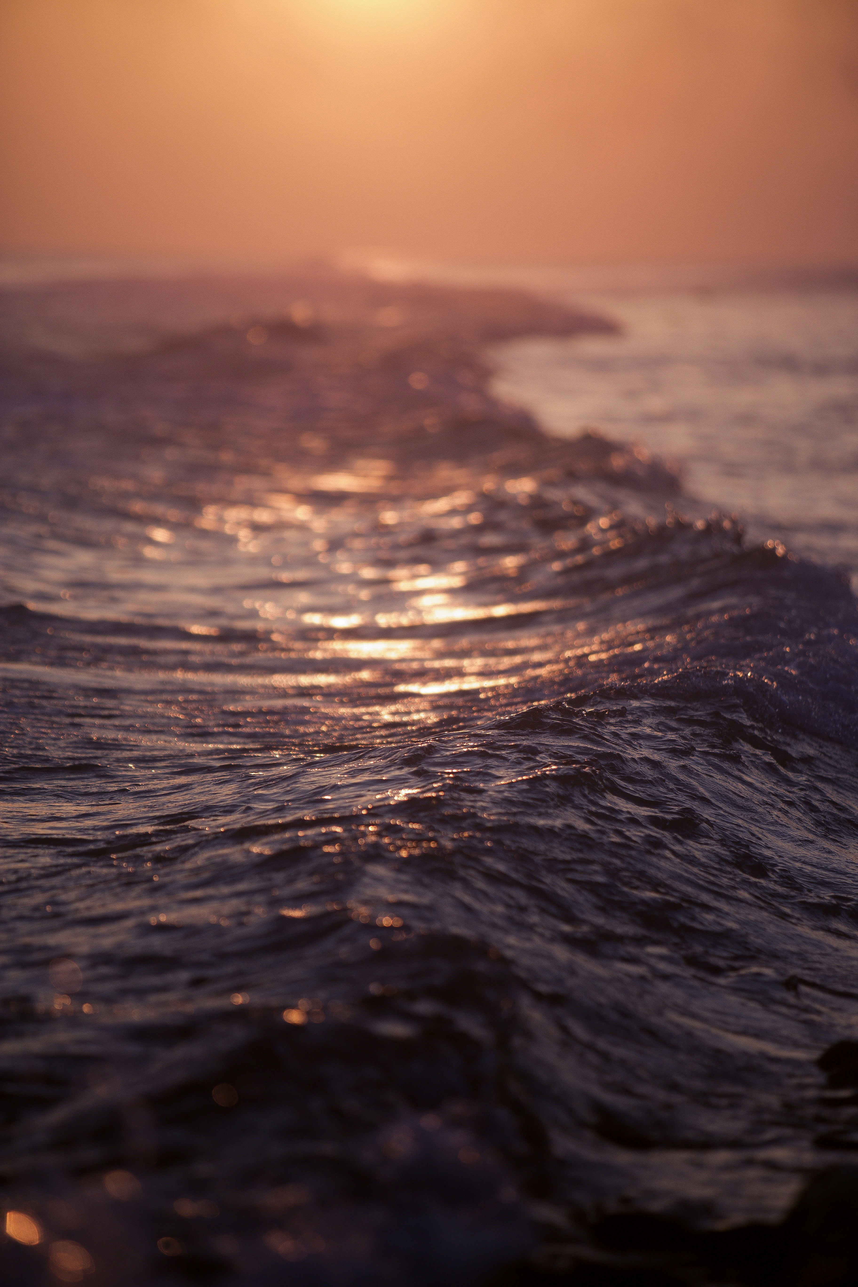 Photo by anmadezzzzz