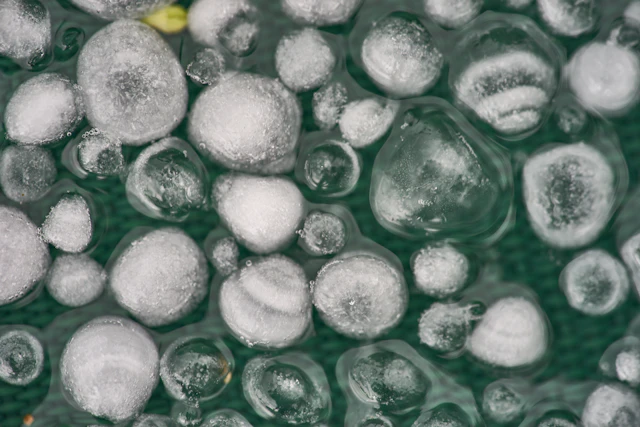 Close-up of large clear hailstones