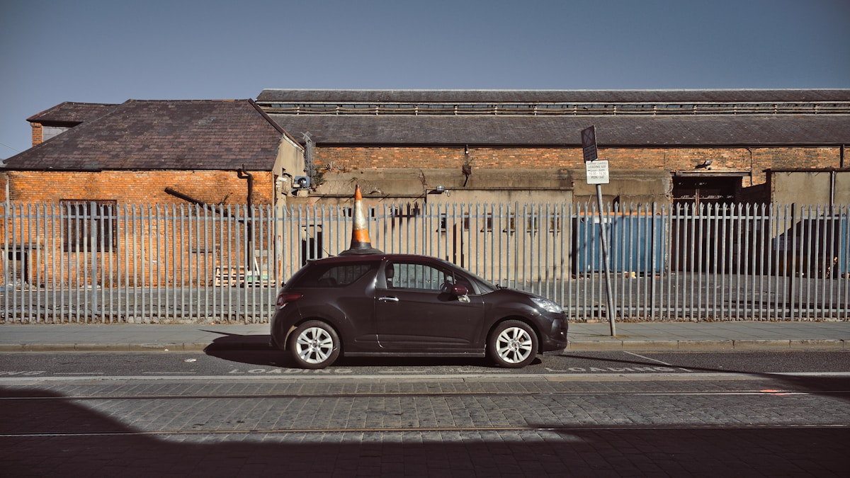 The Rise of Electric Cars