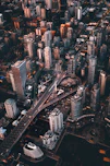 aerial view photography of city skyline