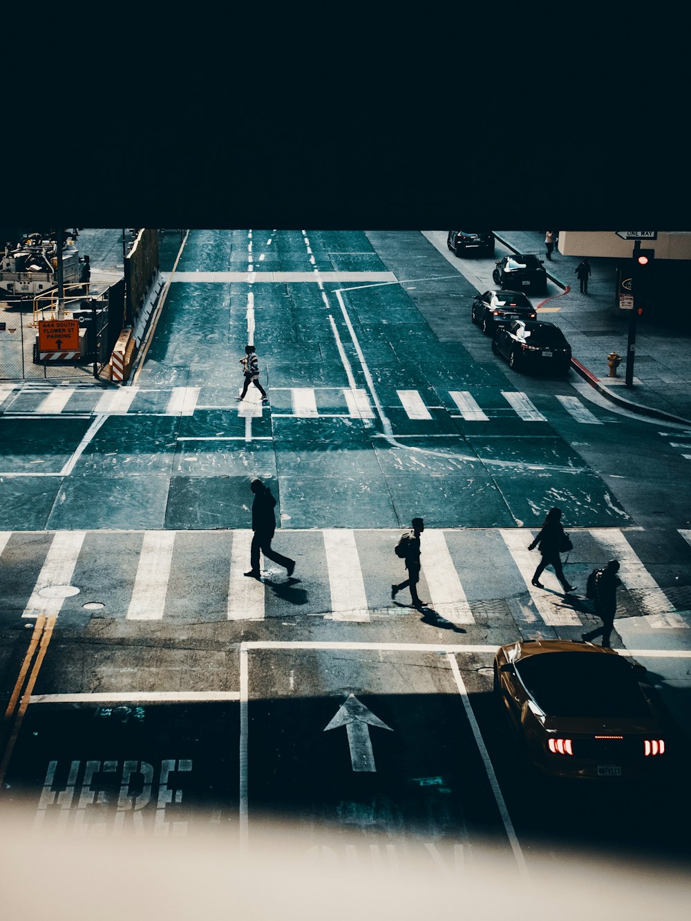 several person walking on pedestrian lane