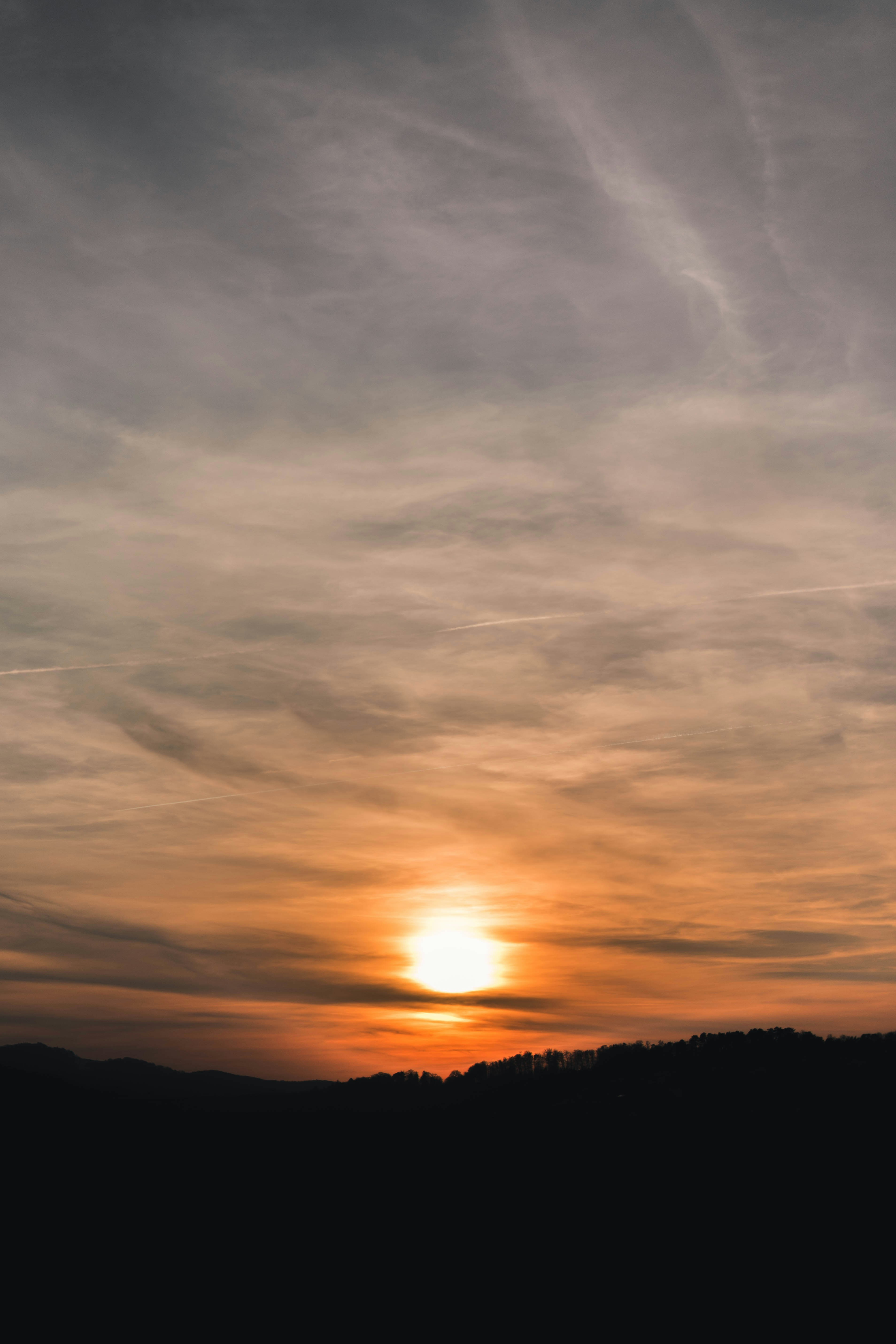 Photo by virussinside