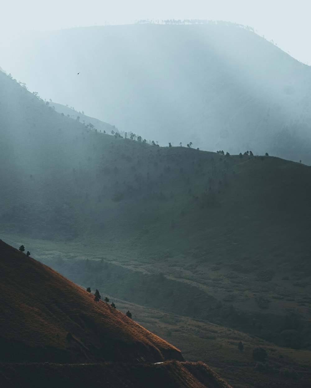 people on steep hill during daytime