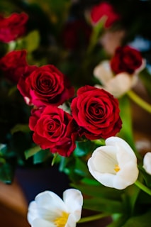 A vibrant bouquet of red roses and tulips arranged elegantly in a rustic vase