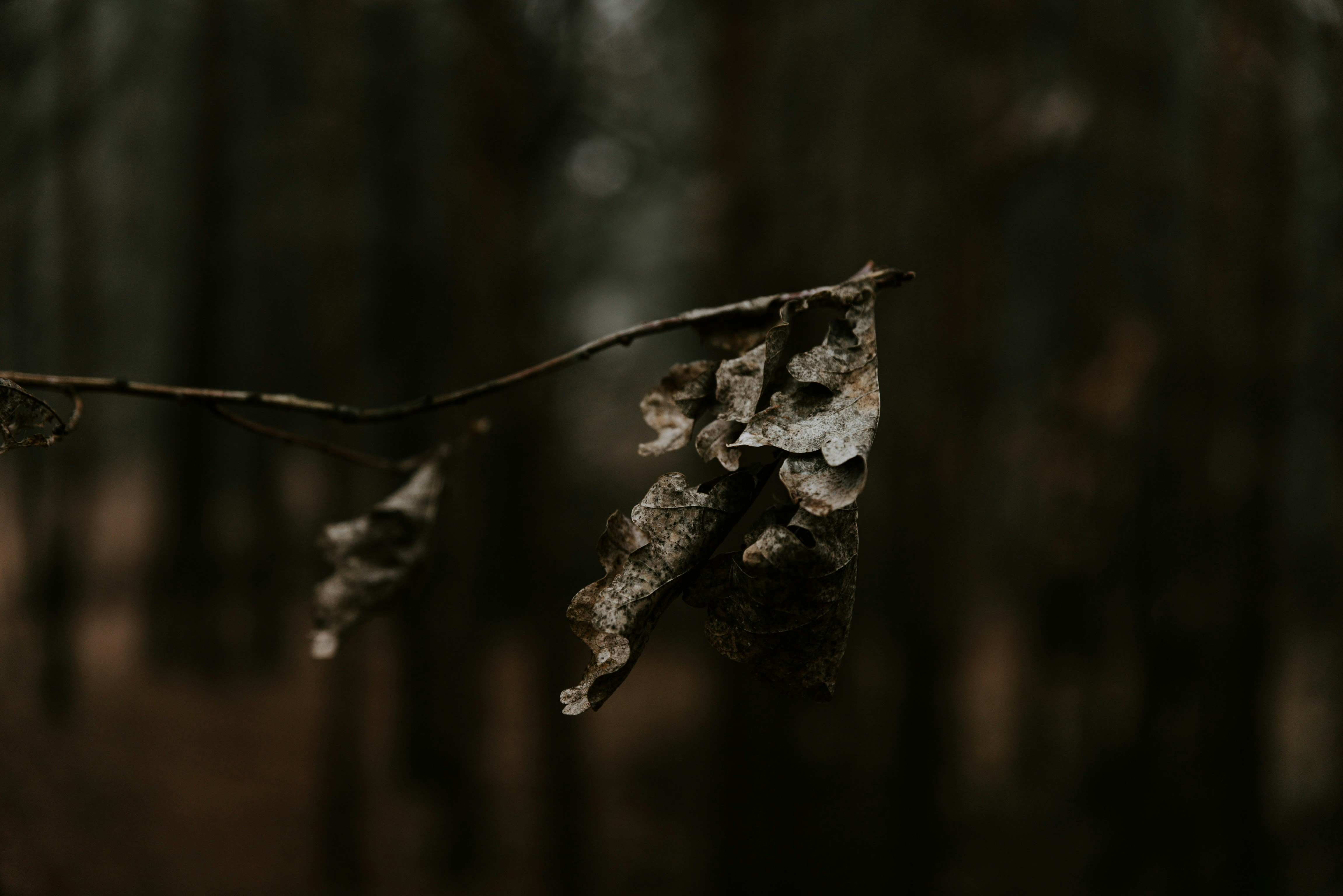 Photo by sanderweeteling