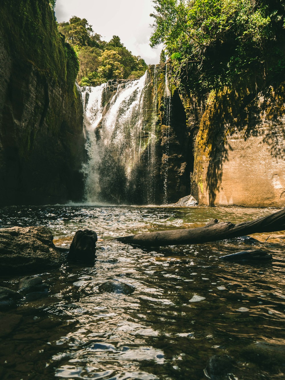 water falls between green trees