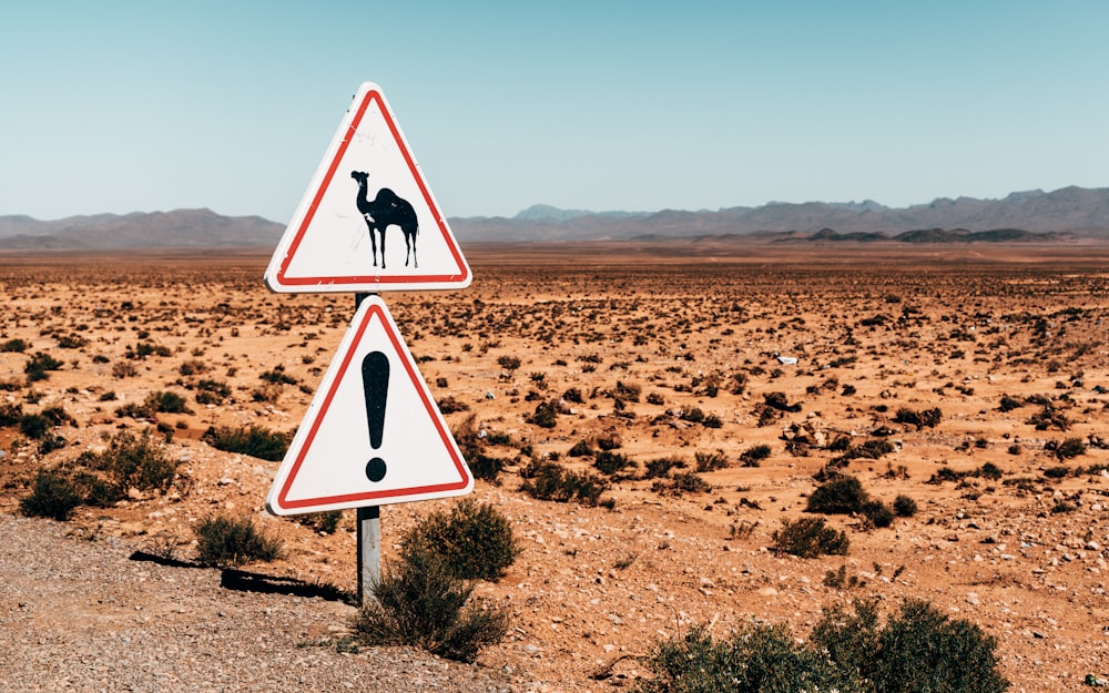camel sign post