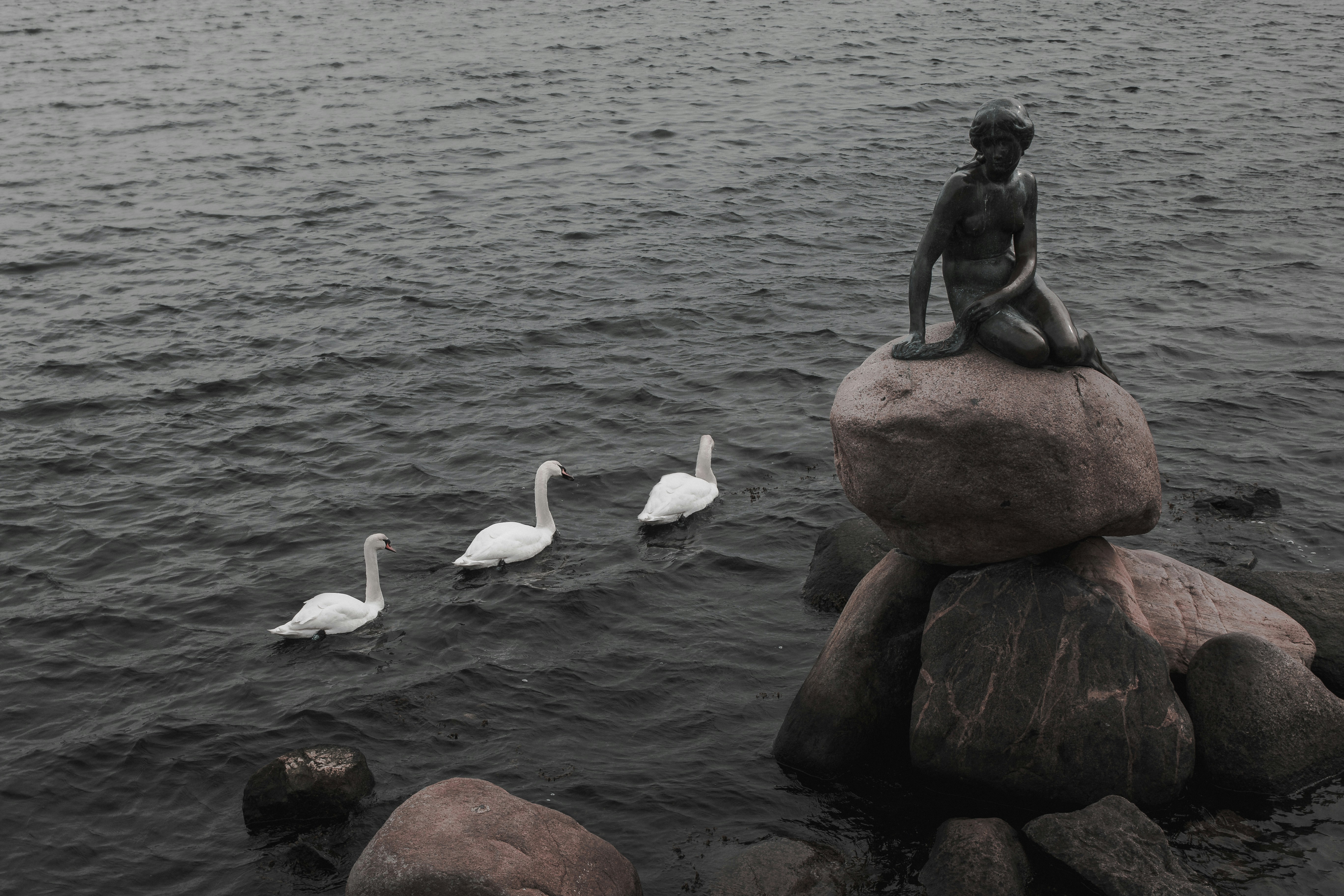 The Little Mermaid photo 2