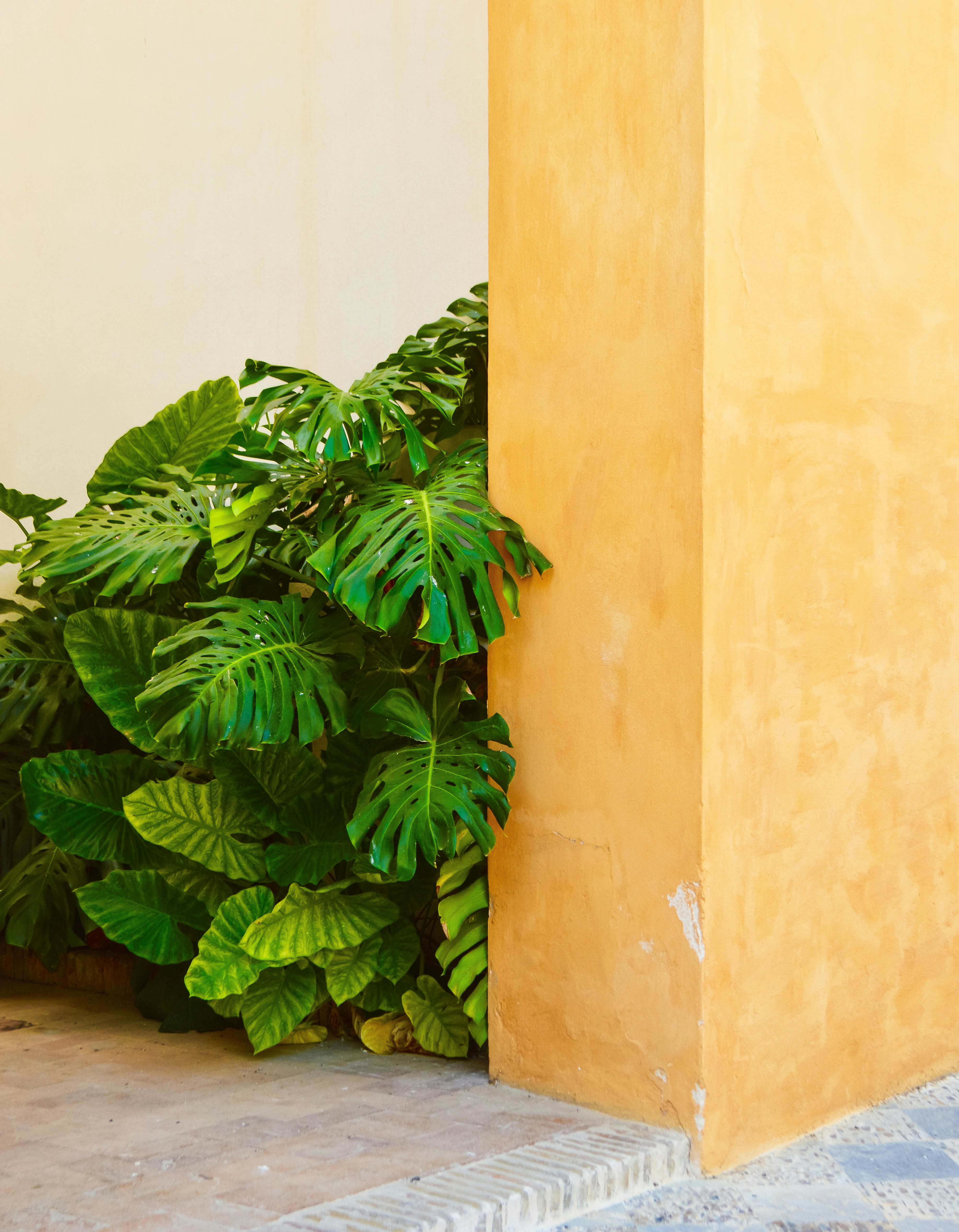 Photo by herfrenchness