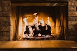 fire wood on fireplace