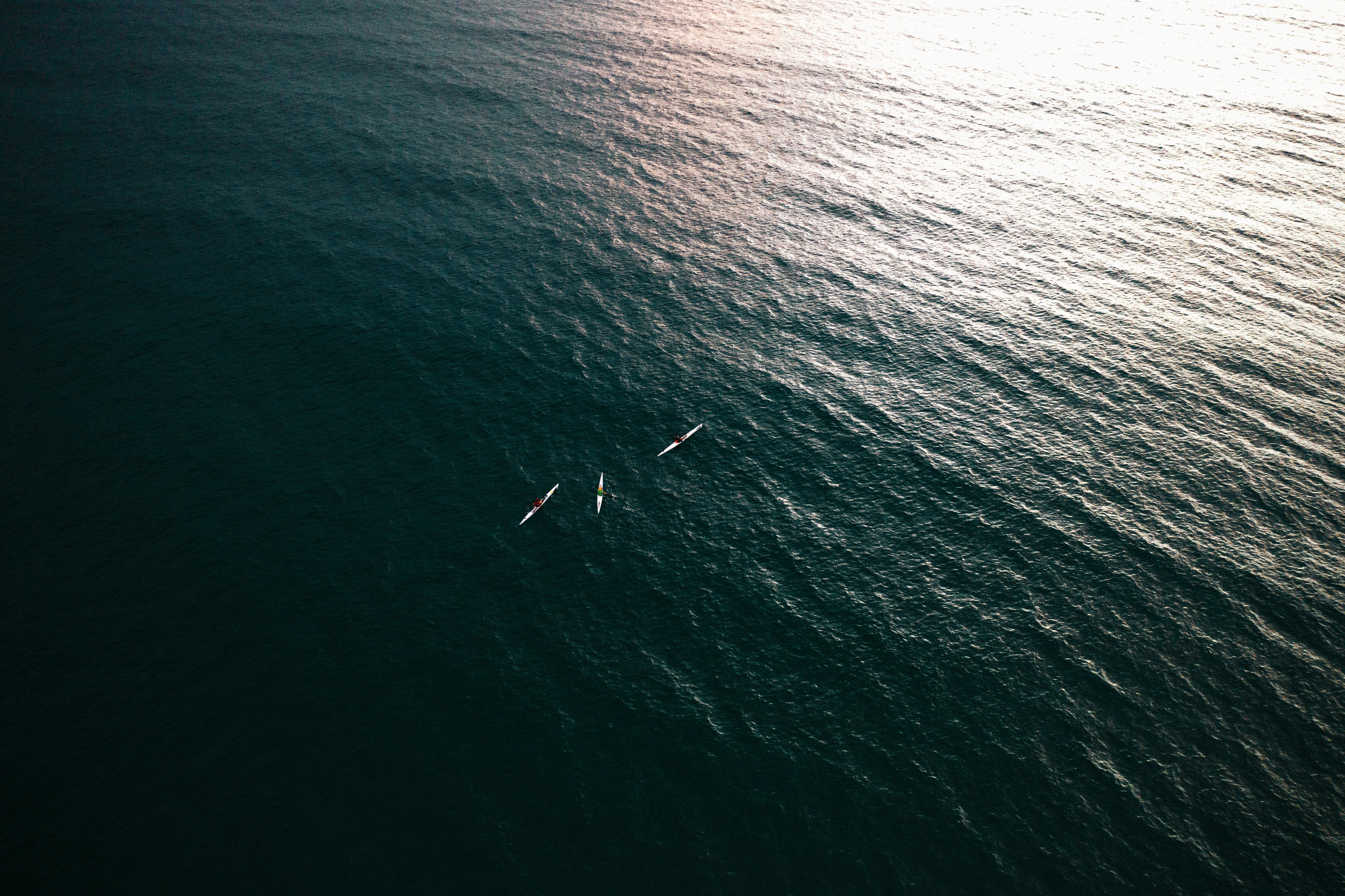 Photo by joshwithers