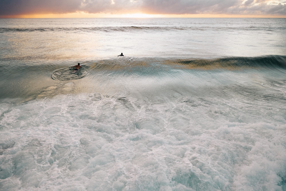 person swimming on the sea during sunset