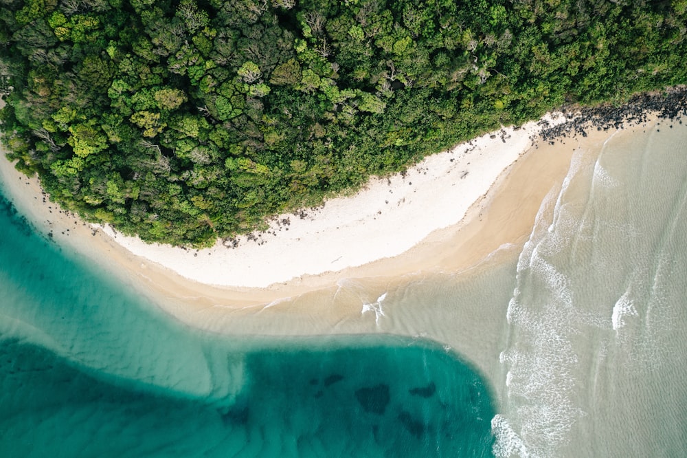 high angle photography of beach