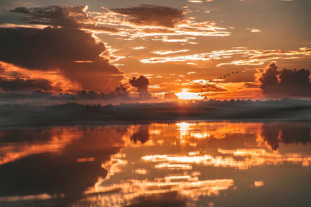 calm water under orange sky with clouds and flying birds