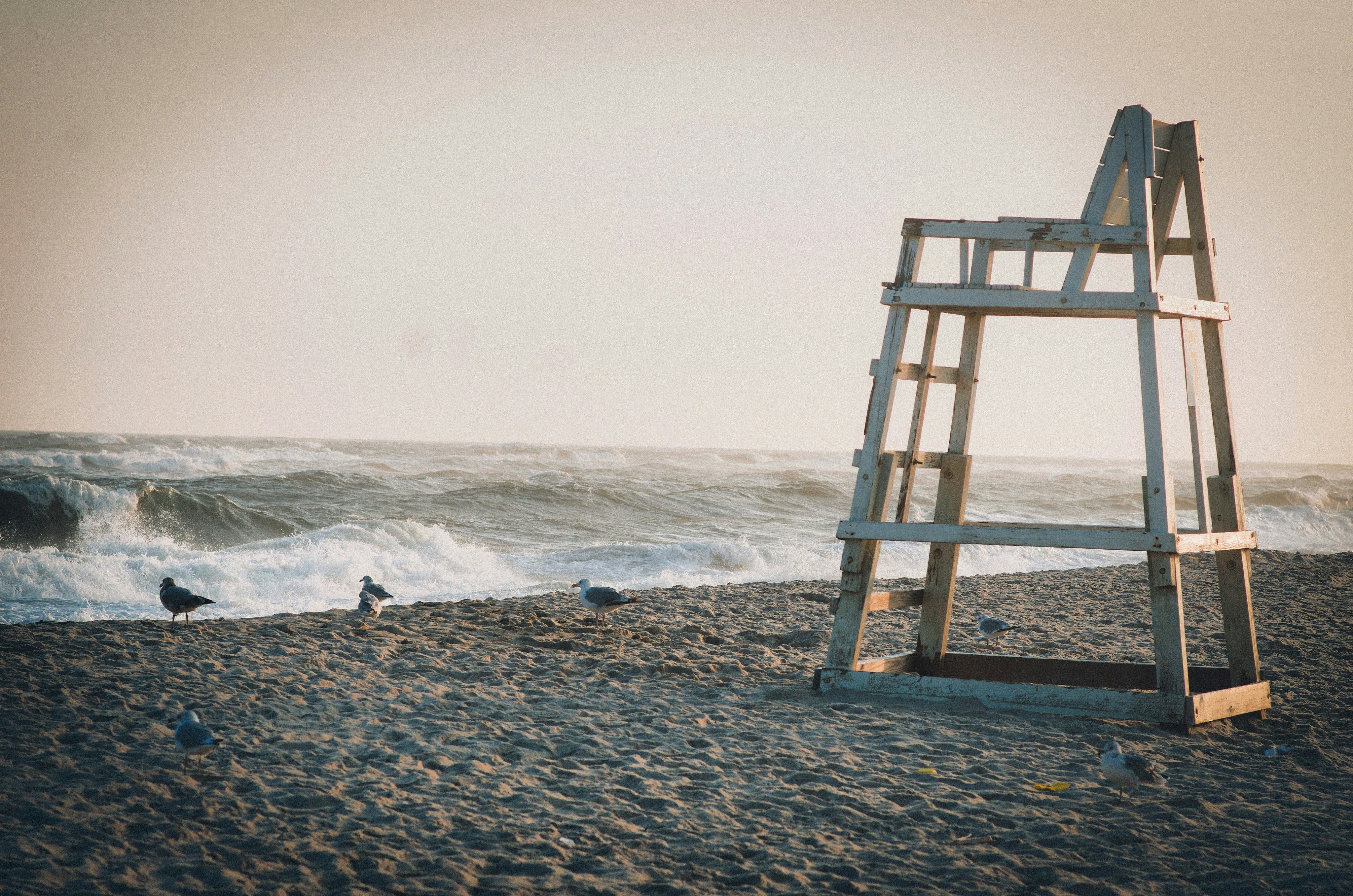 Photo by leannephotographs