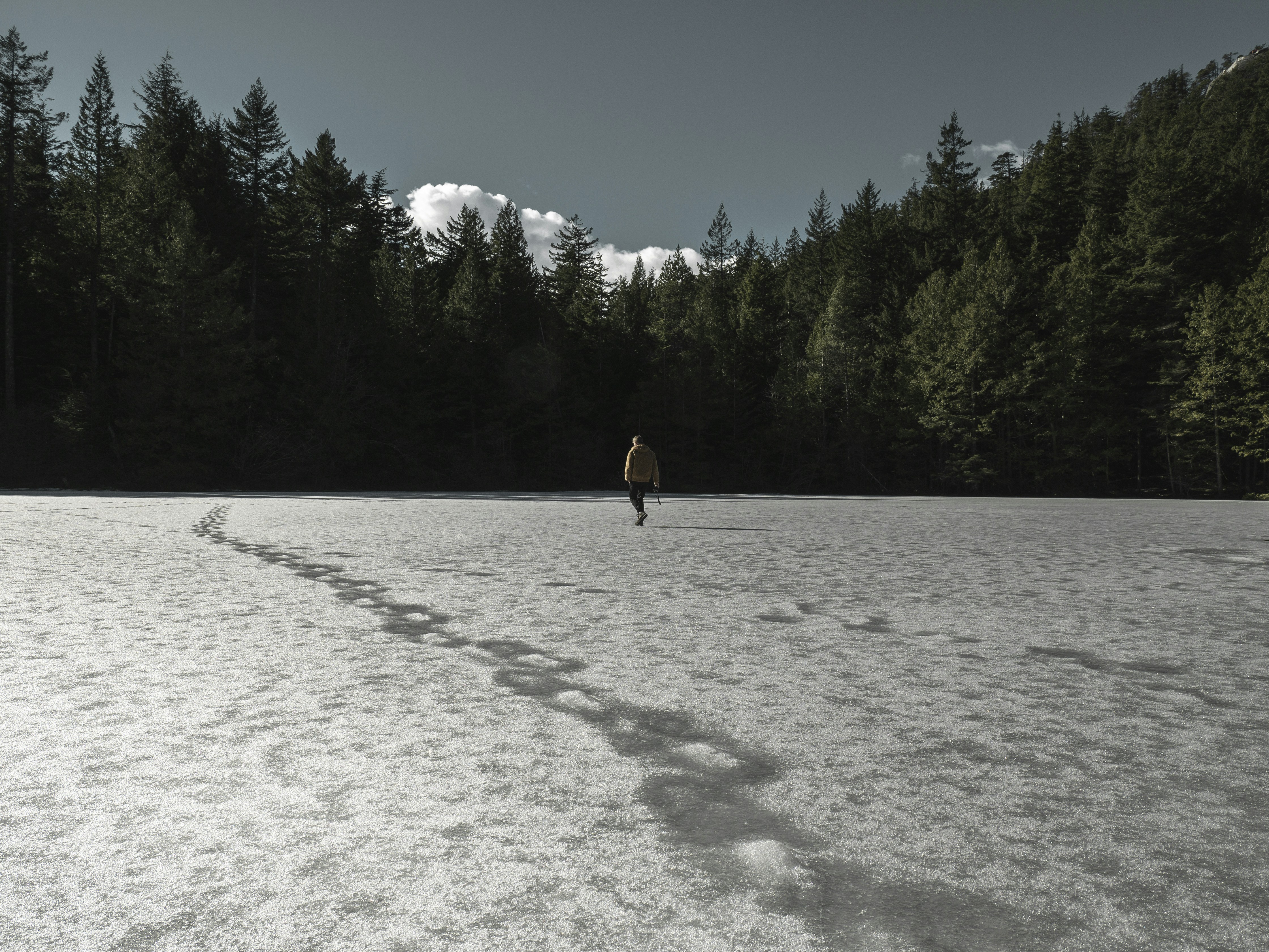 Photo by yannallegre