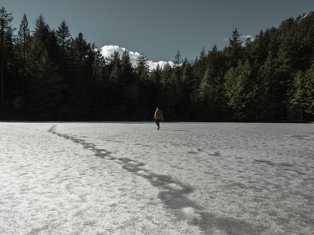 person walking on field covered with snow surrounded with tall and green trees