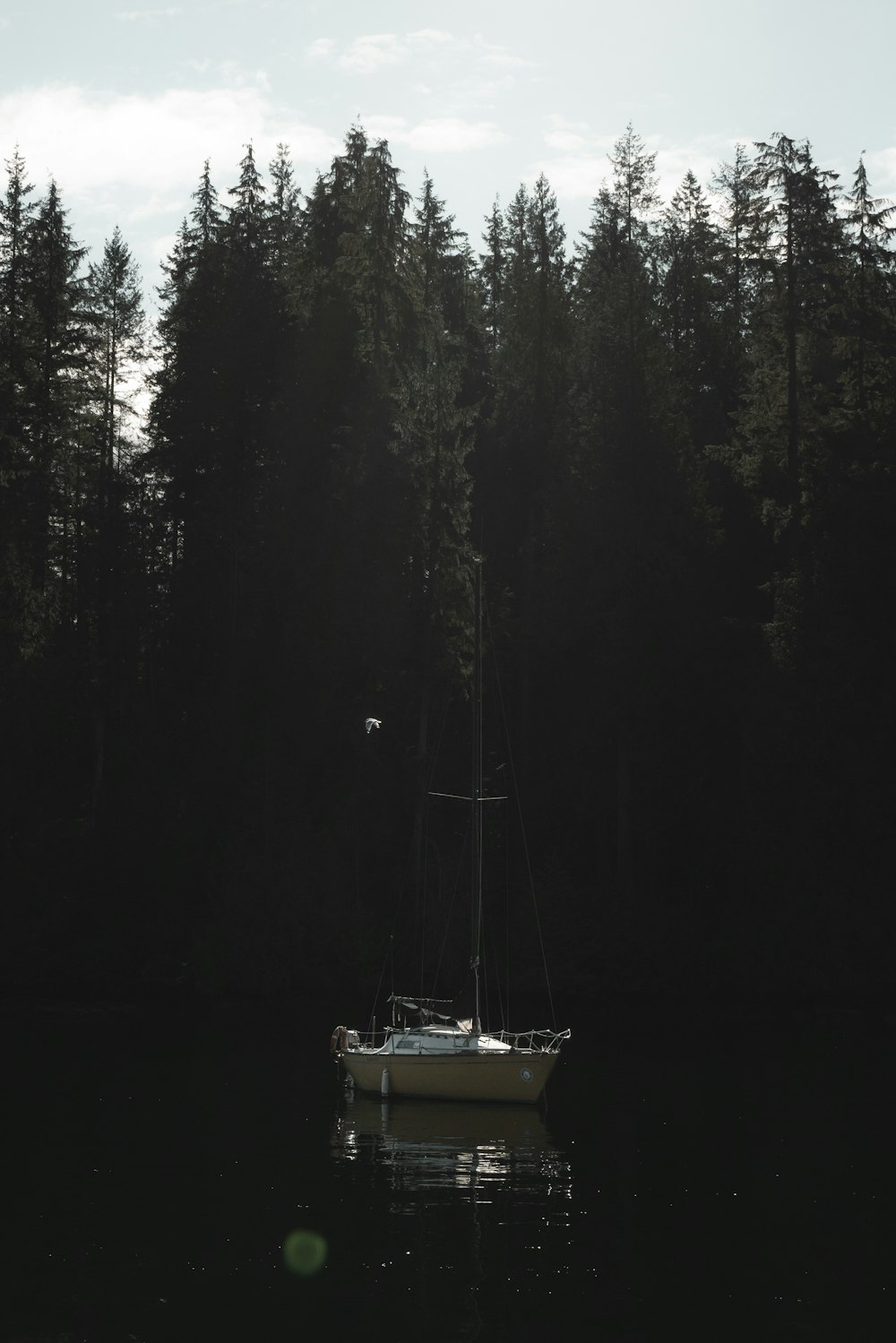 weißes Boot in der Nähe von Bäumen