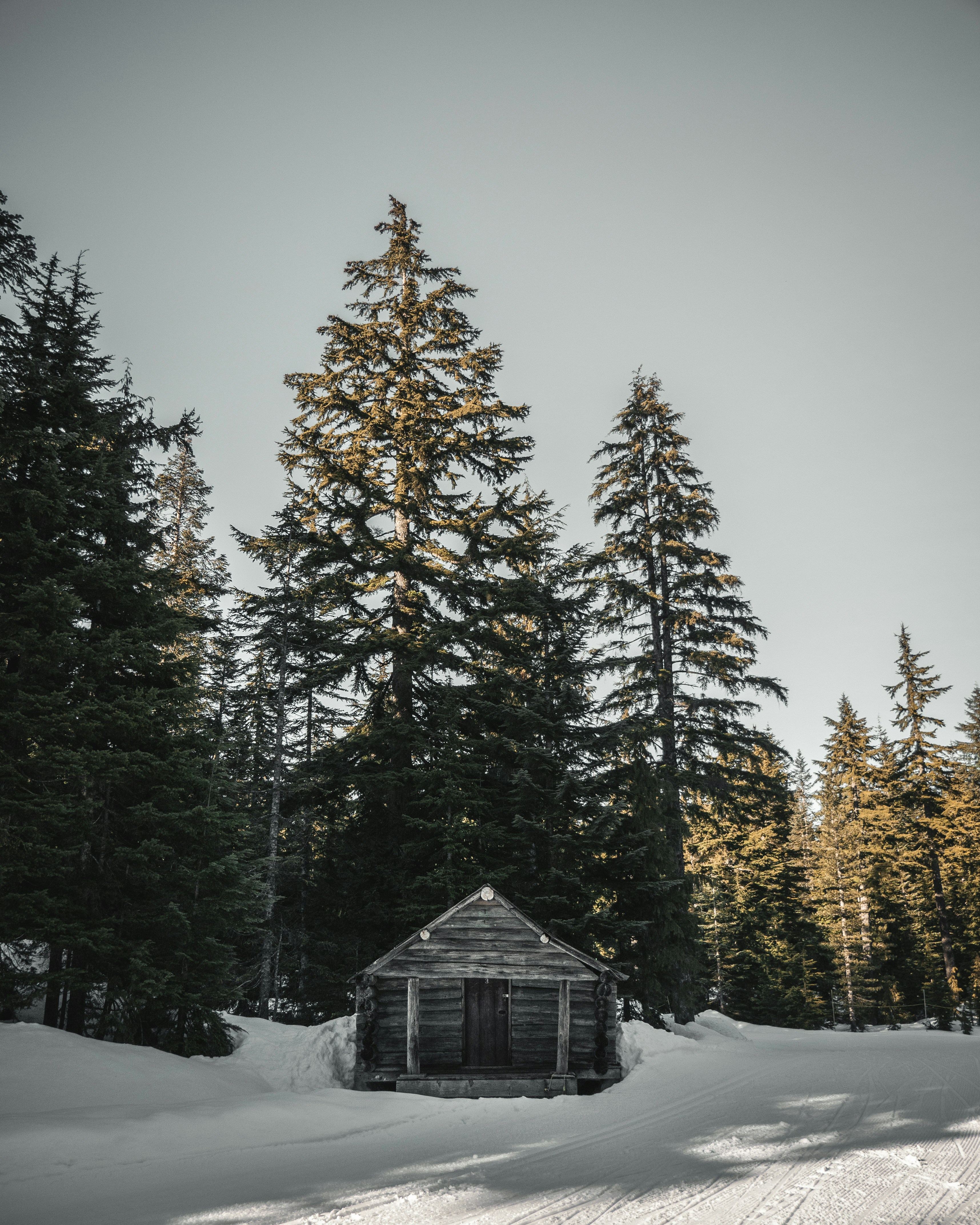 Photo by yannallegre