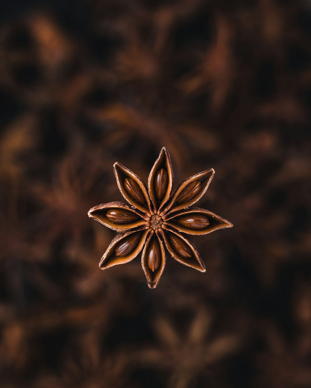 fotografia de foco seletivo de especiaria de anis estrelado
