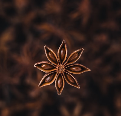 selective focus photography of star anise spice