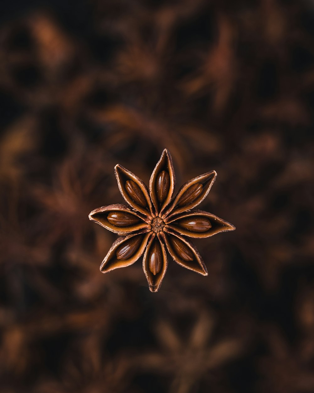 selective focus photography of star anise spice