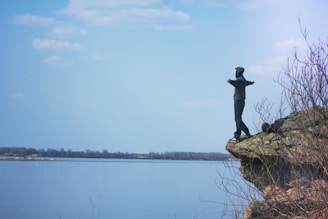A person stands triumphantly at the edge of a rocky outcrop, overlooking a calm body of water under a clear blue sky. Sparse branches frame the scene, suggesting a wild or natural environment.