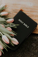 Holy Bible under pink tulips
