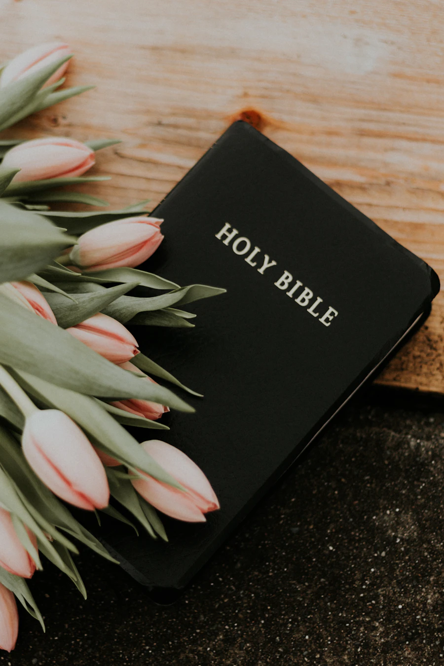 Holy Bible resting under pink tulips, a gentle image of faith and friendship growing slowly