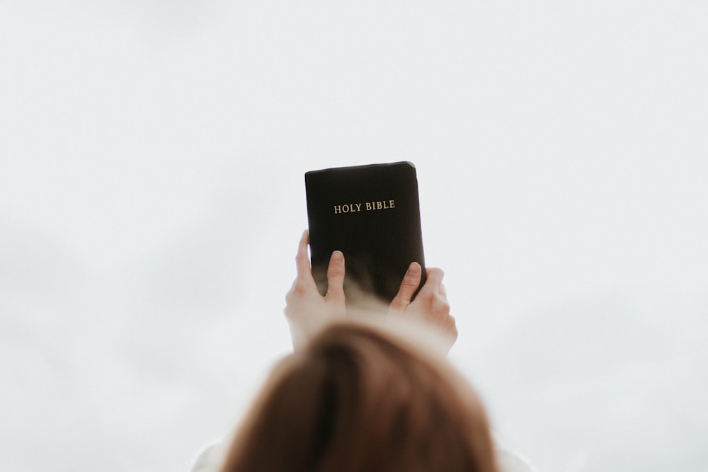 person holding Holy Bible