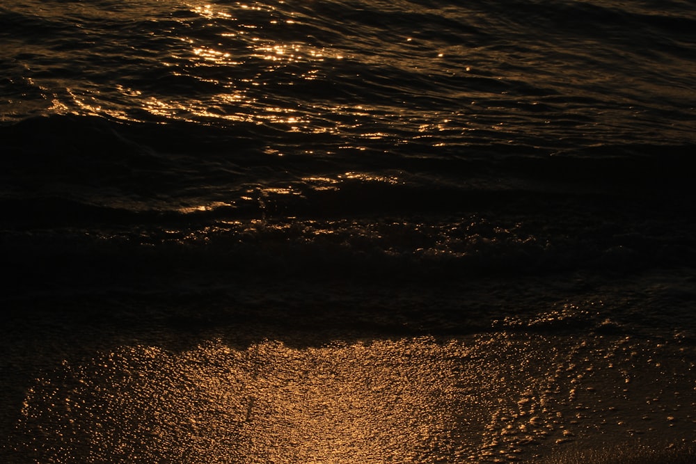 해변의 물을 통해 빛나는 태양