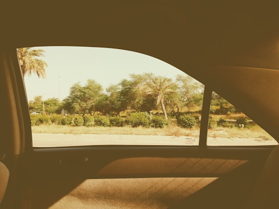 A scenic view of a car driving through lush Sundarban mangroves under a bright sky.