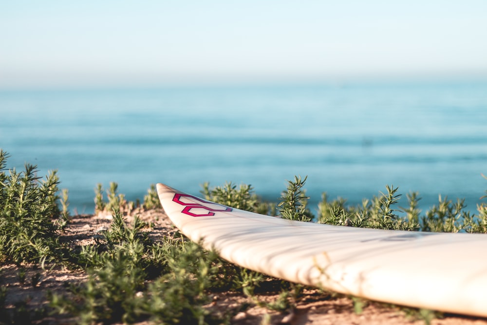 white board near ocean