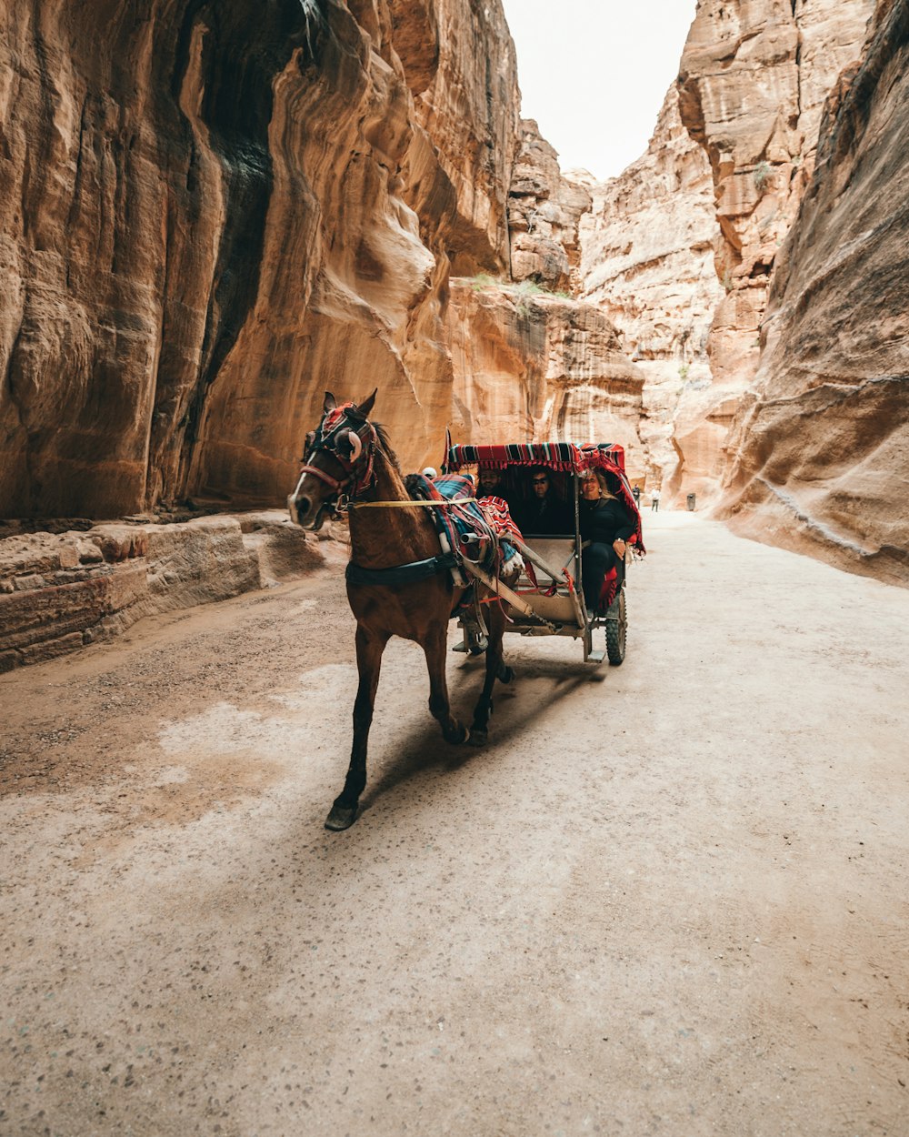 horse carriage near canyon