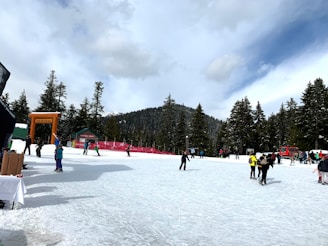 A snowy landscape with several people engaged in winter activities, such as skiing and snowboarding. The scene is set in a mountainous area with tall evergreen trees and a cloudy sky. There are various structures, including a ski lift entrance and a red vehicle, likely for snow maintenance.