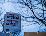 A protest sign with the message 'Change the system, not the climate' is prominently displayed against a backdrop of barren tree branches silhouetted against a blue sky.