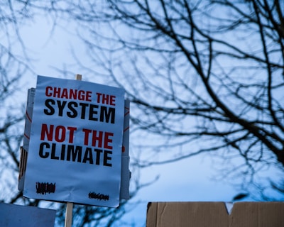 A protest sign with the message 'Change the system, not the climate' is prominently displayed against a backdrop of barren tree branches silhouetted against a blue sky.