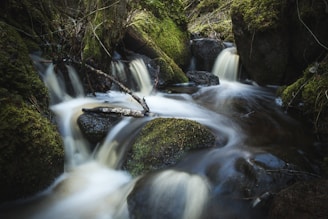 A serene forest stream cascades gently over moss-covered rocks, with water flowing softly among lush greenery. The scene exudes a tranquil and natural beauty, with rich textures and smooth water motion.