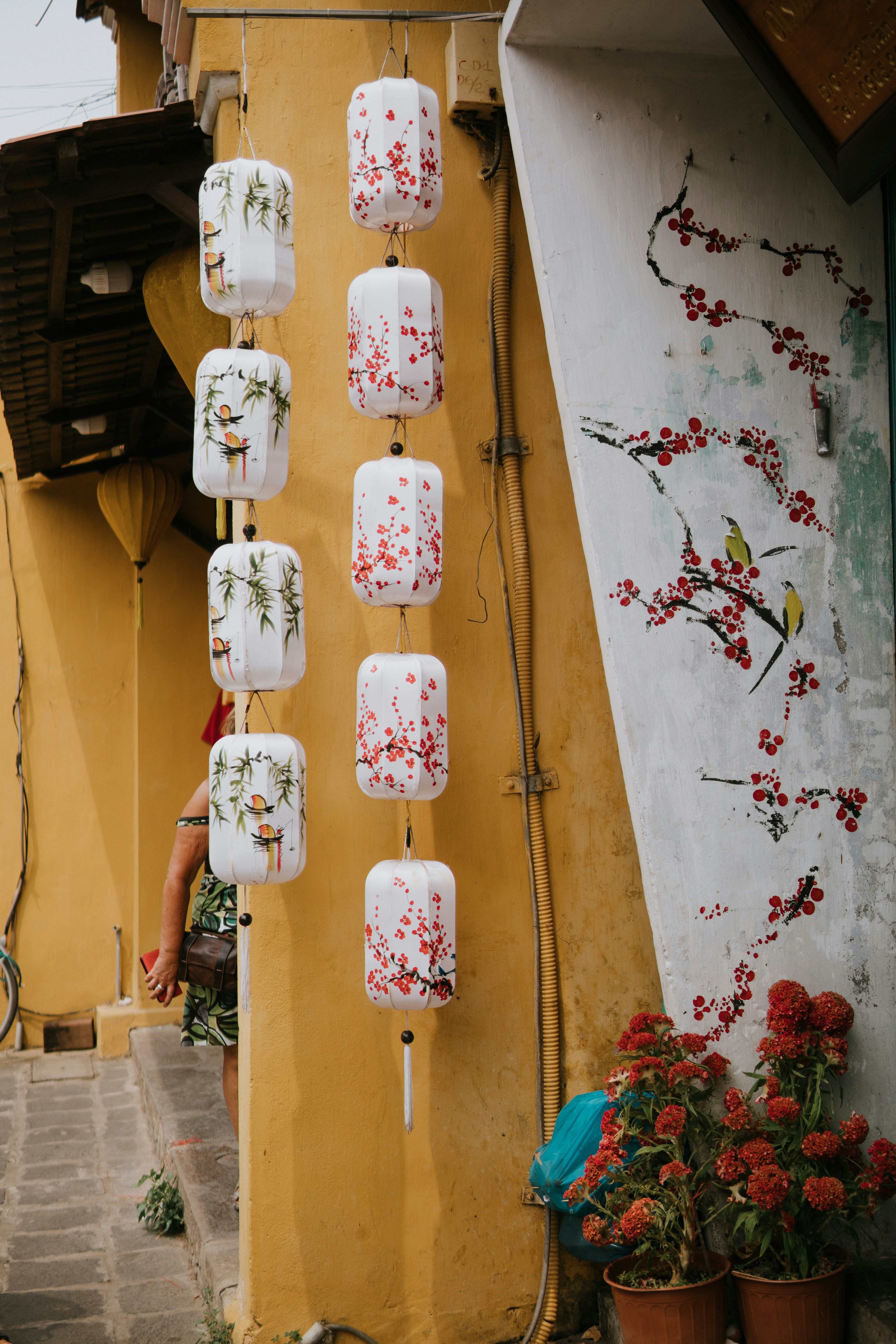 Blumen in der Nähe der Wand und hängendes Dekor 사진 Unsplash의 무료 호이안 이미지