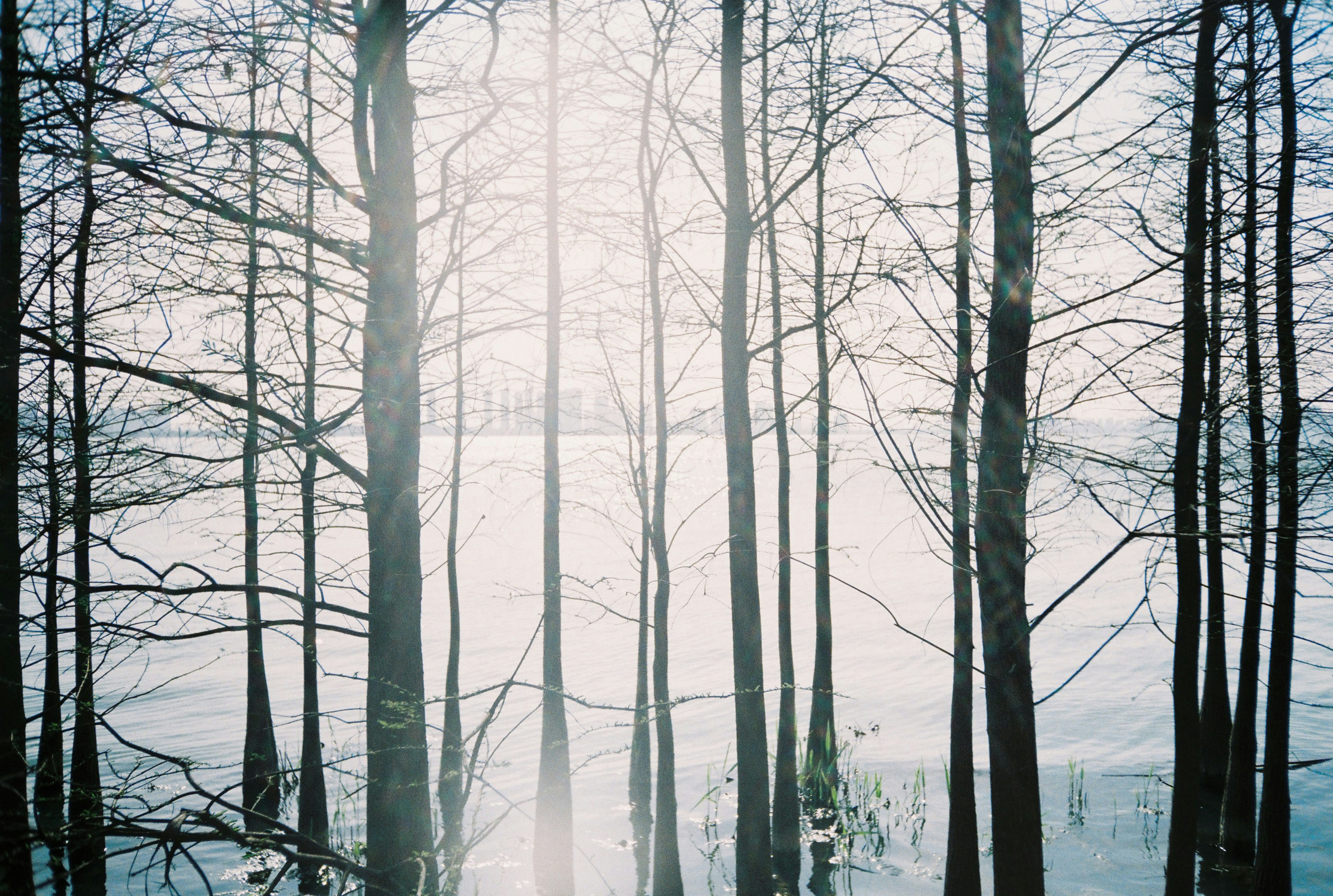 Photo by sandglass_ll