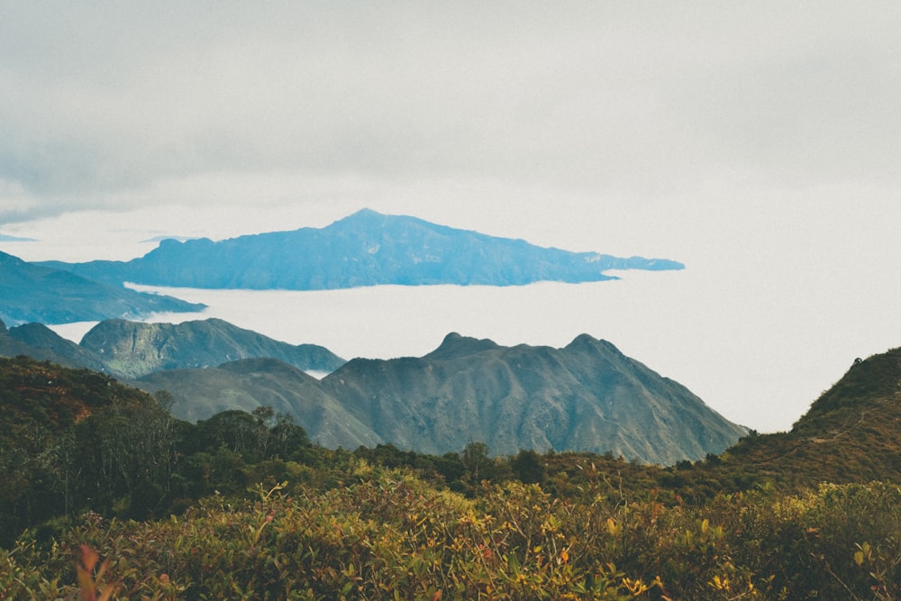 바다로 바라본 산의 전망