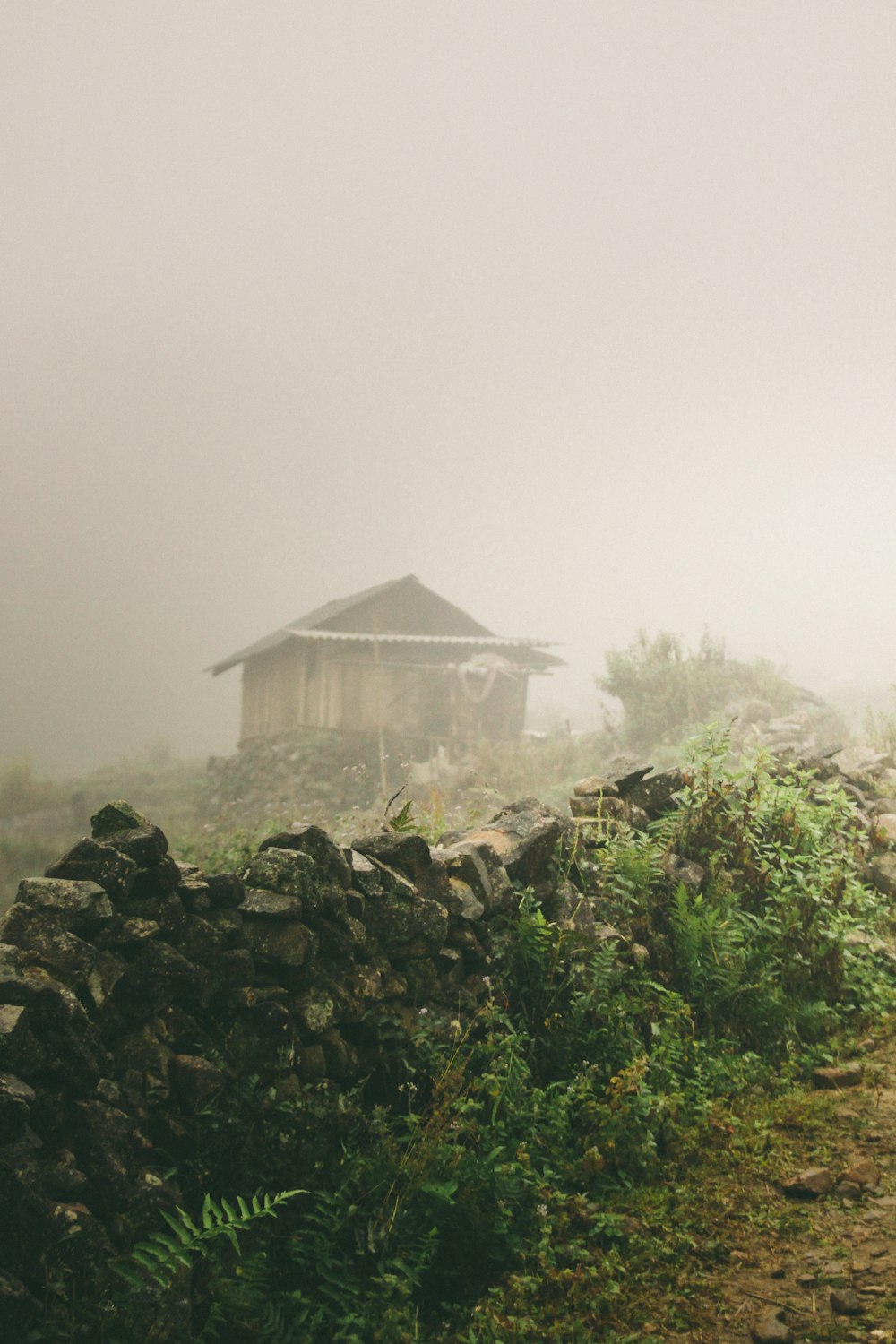 brown wooden house in mountain top