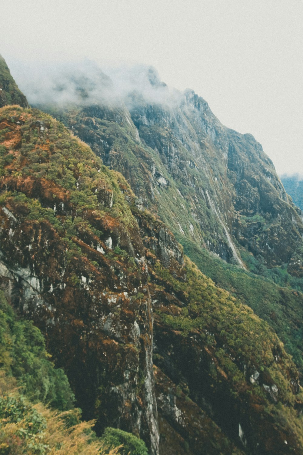 green trees on mountains