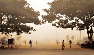 A dusty, hazy street scene with several people walking or standing under large trees. The visibility is low due to a thick haze or dust in the air. There are also some vehicles and possibly construction materials on the side of the road.