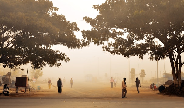 A dusty, hazy street scene with several people walking or standing under large trees. The visibility is low due to a thick haze or dust in the air. There are also some vehicles and possibly construction materials on the side of the road.