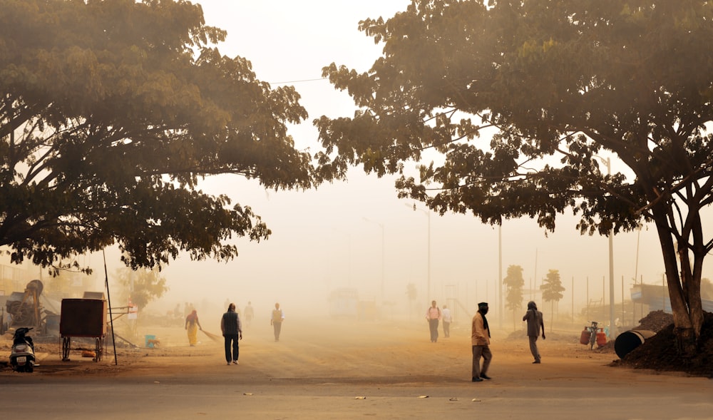 group of people walking on road