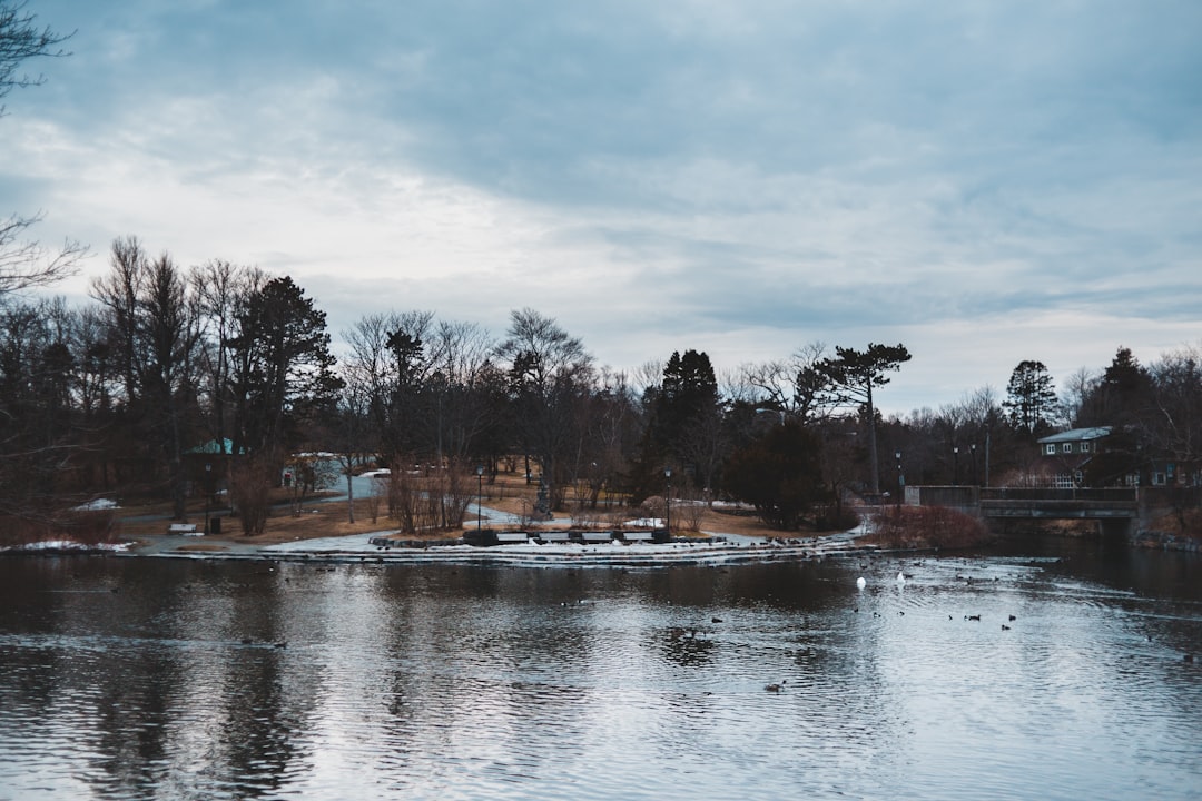 few houses near lake surrounded with tall and green trees