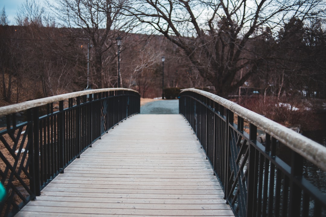 view of bridge