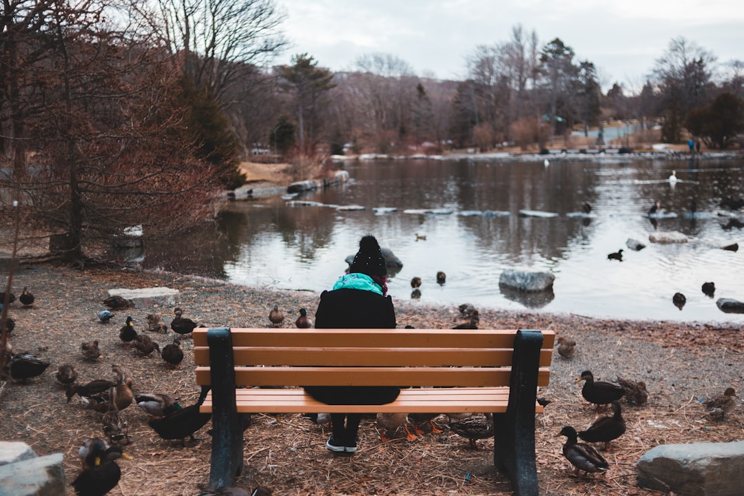 person sitting on bench beside body of water